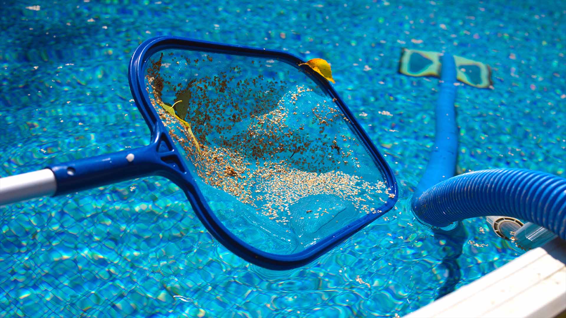 Grab a fine-mesh pool skimmer net, dipping the net below the surface to scoop up pollen.