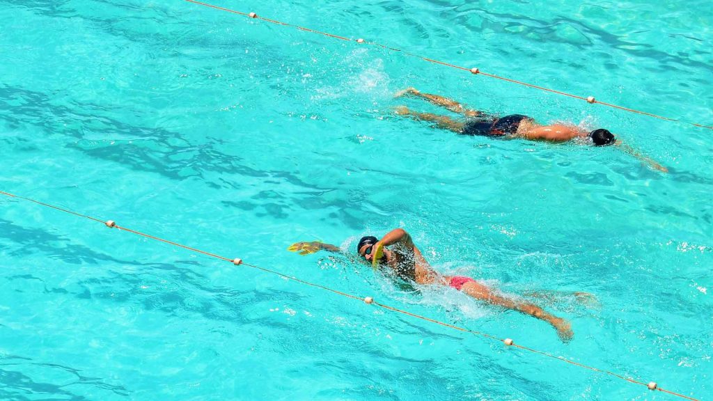 Two people swimming towards each other in two adjacent lanes